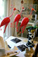 Bobbing flamingos in craft shop of Lemoyne Art Gallery. Tallahassee, FL.