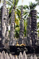 Tikis guard burial site in Puuhonua O Honaunau National Historical Park. Big Island of Hawaii, HI.
