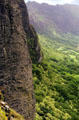 Landscape of Oahu from Pali lookout. Oahu, HI.