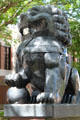 Chinese stone male lion with globe in Dr. Sun Yat-sen Memorial Park at entrance to Chinatown area of Honolulu. Honolulu, HI.