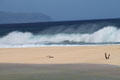 Waves at Banzai Pipeline. HI.
