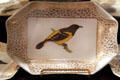 Porcelain hand-painted by Caroline Scott Harrison wife of Benjamin at Benjamin Harrison Presidential Site. Indianapolis, IN.