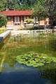 Garden pool at Allen-Lambe House. Wichita, KS