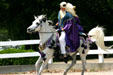 Arabian horse at Kentucky Horse Park. Lexington, KY.