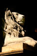 Lion on staircase of Boston Public Library. Boston, MA