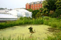 Smith College botanical garden & conservatory. Northampton, MA.