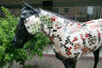 Mosaic horse sidewalk art. Billings, MT.
