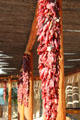 Chili pepper bunch at Visitor Center of Petroglyph National Monument. Albuquerque, NM