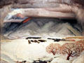 Winter Funeral painting by Victor Higgins at Harwood Museum of Art. Taos, NM.