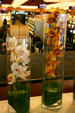 Orchids in casino at Las Vegas Hilton. Las Vegas, NV.