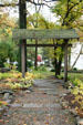 Japanese garden beside Buffalo History Museum. Buffalo, NY.