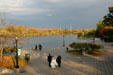 Lake facing Albright-Knox Art Gallery. Buffalo, NY.