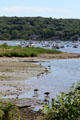 Cold Spring Harbor scene. Cold Spring Harbor, NY.