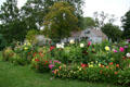 Dahlia garden at Toledo Botanical Garden. Toledo, OH.
