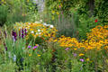 Mixed flowers at Toledo Botanical Garden. Toledo, OH.