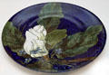 Hand-painted platter with white Magnolia given to President Hayes by Jessie Benton Fremont, wife of explorer John C. Fremont, at Hayes Presidential Center. Fremont, OH.