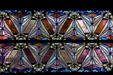 Stained glass windows of Boston Avenue Methodist Church. Tulsa, OK.