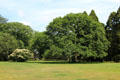 Grounds of Chateau-sur-Mer. Newport, RI.