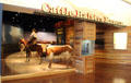 Entrance to Cattle Raisers Museum at Fort Worth Museum of Science & History. Fort Worth, TX.