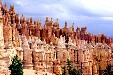 Hoodoos in Bryce Canyon National Park. UT.