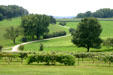 Valley below Wright's Taliesin house. WI.