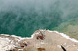 Mineral deposits on pool in Norris Geyser Basin at Yellowstone National Park. WY