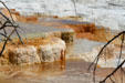 Colored pools of Minerva Terrace of Mammoth Hot Springs at Yellowstone National Park. WY
