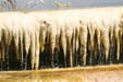 Outdoor stalactites of Minerva Terrace of Mammoth Hot Springs at Yellowstone National Park. WY