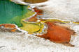 Blue, green, yellow & reds of hot springs pool at Yellowstone National Park. WY