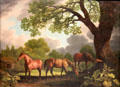 Gnawpost & Two Colts painting by George Stubbs at Walker Art Gallery. Liverpool, England.