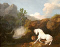 Horse Frightened by a Lion painting by George Stubbs at Walker Art Gallery. Liverpool, England.