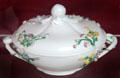 Soft-paste porcelain tureen with floral design made in Vincennes, France at National Museum of Wales. Cardiff, Wales.